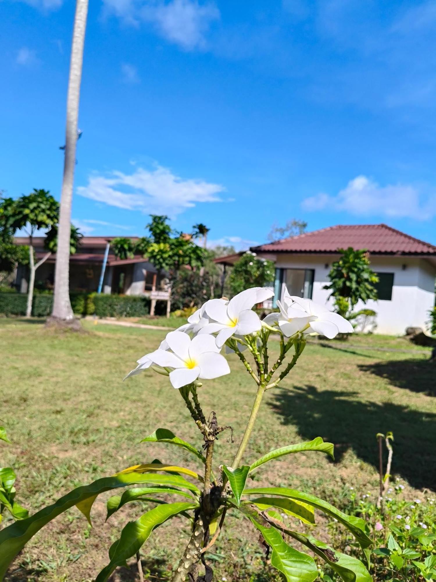 The Lodge At Koh Kood Ko Kut エクステリア 写真